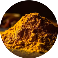 Turmeric Longa